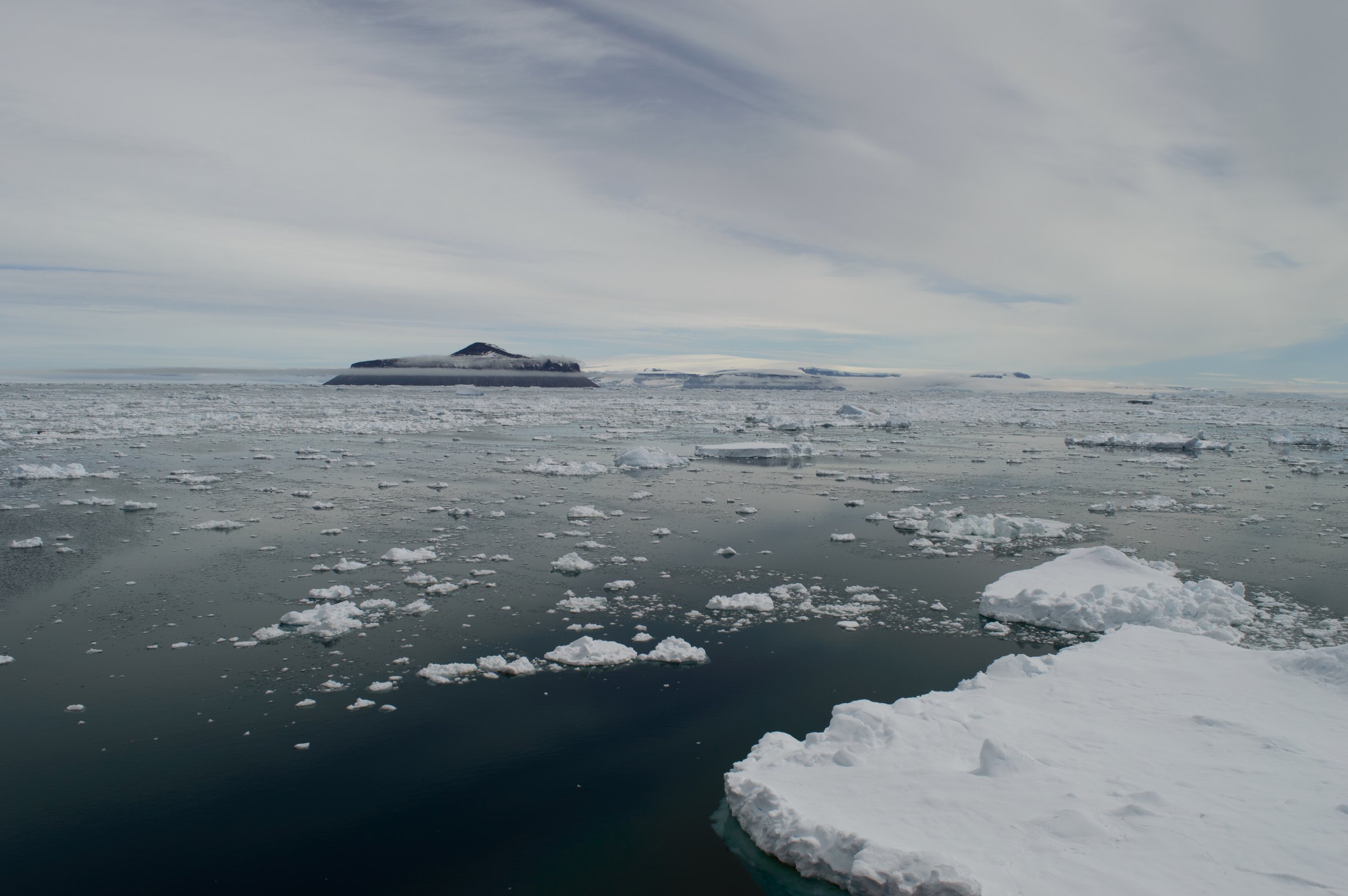Ice floes drifting on dark open water with a low island on the horizon under a pale sky
