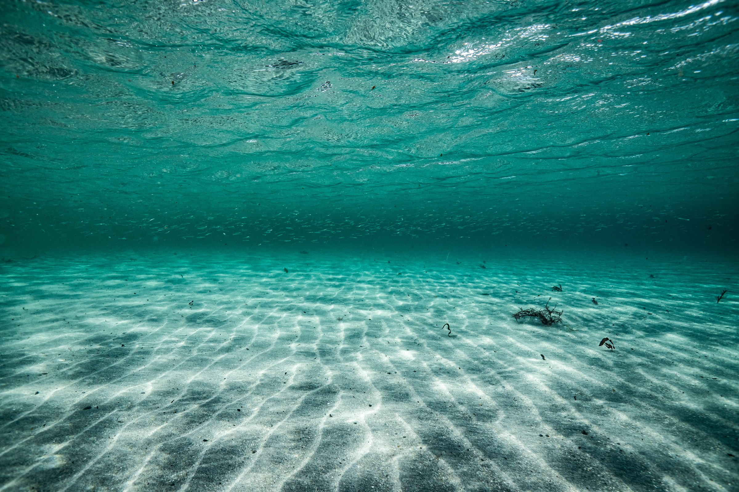 Rippled sandy seafloor under clear water, fading into blue-green distance