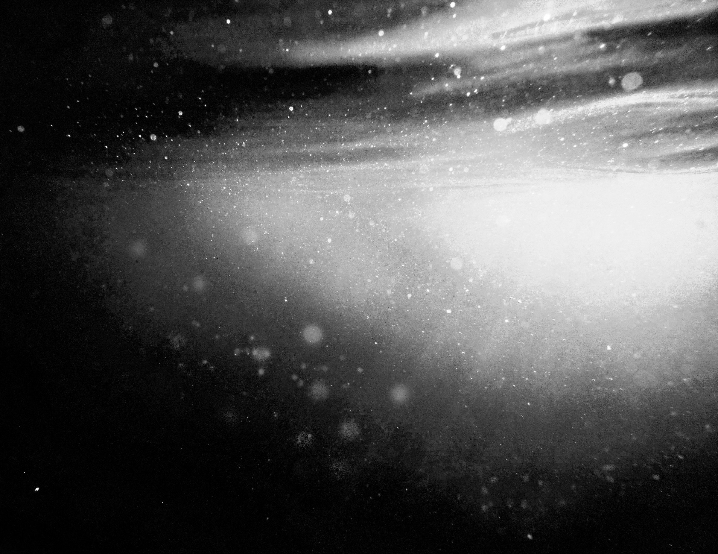 Black-and-white underwater scene with suspended particles and diffuse light