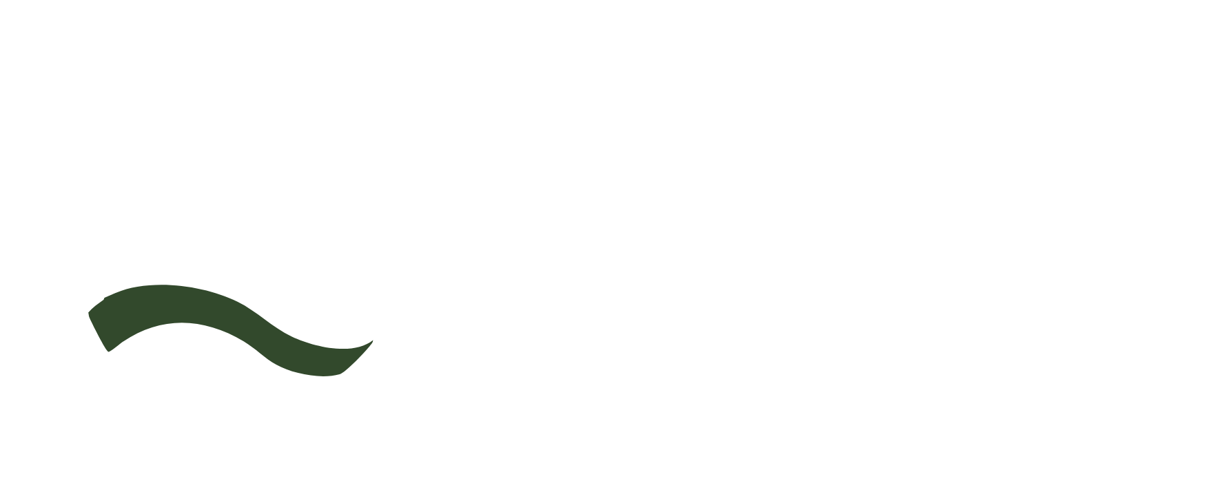 Bruncell Larsen Strategic Advisory